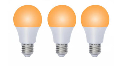 Bombillas Amber (Pack)